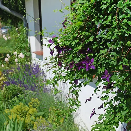 アパート Vilm By Interhome